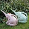 ElephantShaped Cute Watering Can Small Household Gardening Tool 4