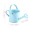 Large Capacity Metal Watering Can Perfect For Kids Adults Small Garden Flower Spraying Pot 4