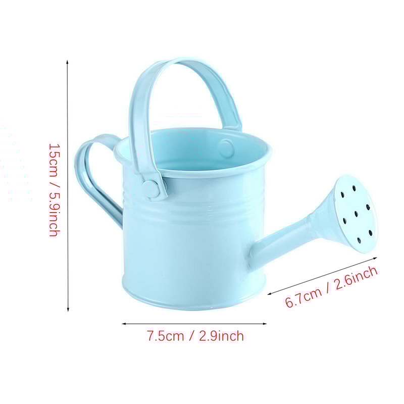 Large Capacity Metal Watering Can Perfect For Kids Adults Small Garden Flower Spraying Pot 4