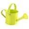 Large Capacity Metal Watering Can Perfect For Kids Adults Small Garden Flower Spraying Pot 6
