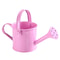 Large Capacity Metal Watering Can Perfect For Kids Adults Small Garden Flower Spraying Pot 8