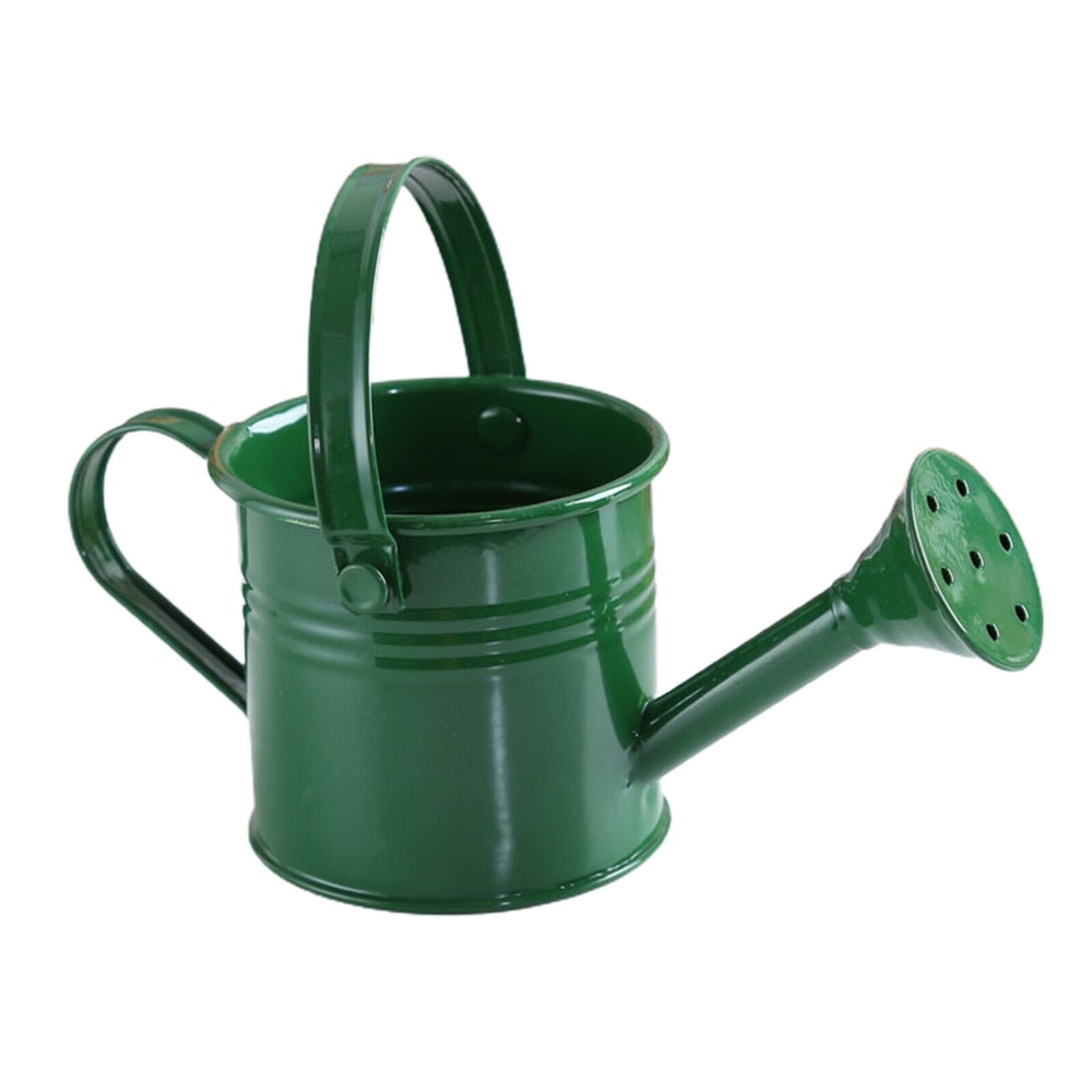 Large Capacity Metal Watering Can Perfect For Kids Adults Small Garden Flower Spraying Pot 9