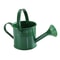 Large Capacity Metal Watering Can Perfect For Kids Adults Small Garden Flower Spraying Pot 9
