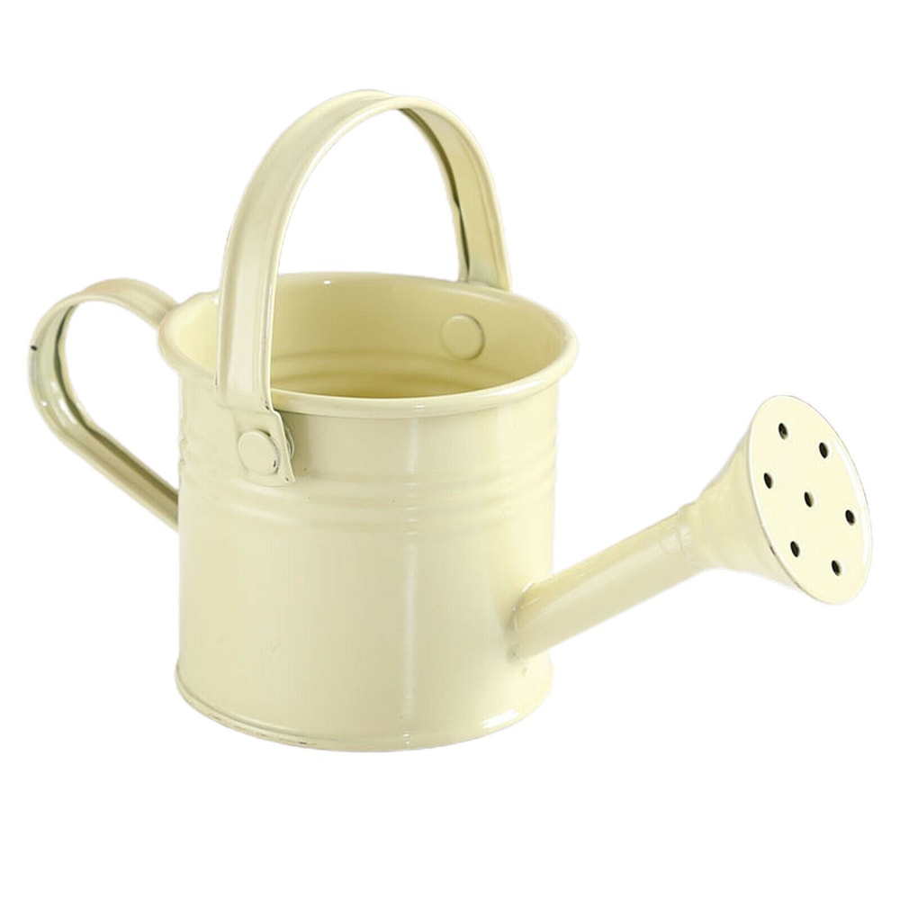 Large Capacity Metal Watering Can Perfect For Kids Adults Small Garden Flower Spraying Pot 10