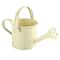 Large Capacity Metal Watering Can Perfect For Kids Adults Small Garden Flower Spraying Pot 10
