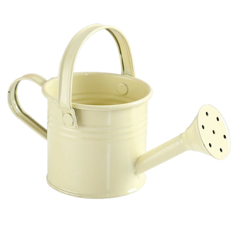 Large Capacity Metal Watering Can Perfect For Kids Adults Small Garden Flower Spraying Pot 10