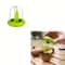 Kiwi Slicer and Fruit Peeler Stainless Steel Scooping Tool