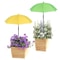 Adjustable Plant Umbrella For Outdoor Plants Waterproof Garden Shade Cover 0