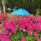 Adjustable Plant Umbrella For Outdoor Plants Waterproof Garden Shade Cover 2