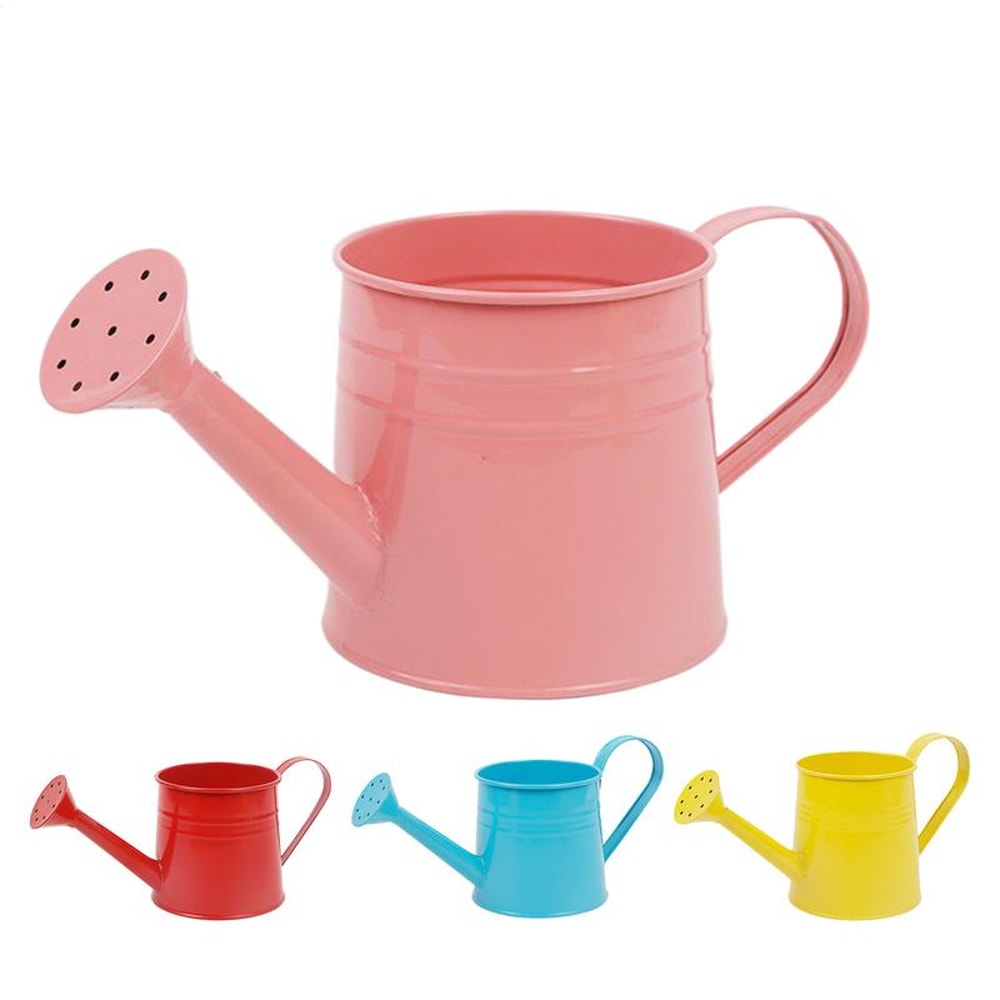 Modern Indoor Plant Watering Can With Long Spout Metal Design 0