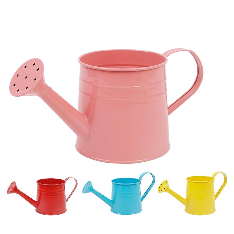 Modern Indoor Plant Watering Can With Long Spout Metal Design 0
