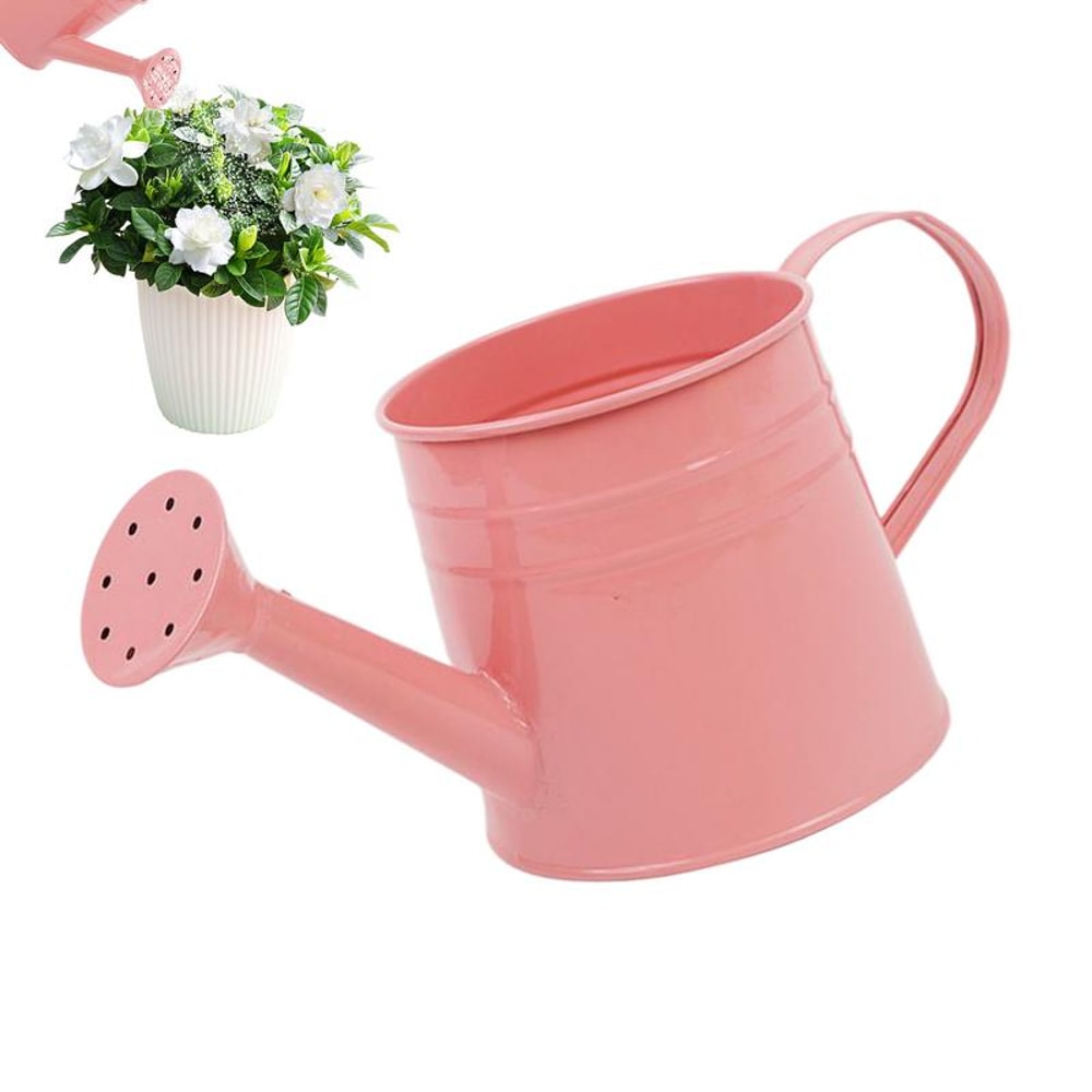 Modern Indoor Plant Watering Can With Long Spout Metal Design 1