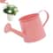 Modern Indoor Plant Watering Can With Long Spout Metal Design 1