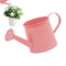 Modern Indoor Plant Watering Can With Long Spout Metal Design 1