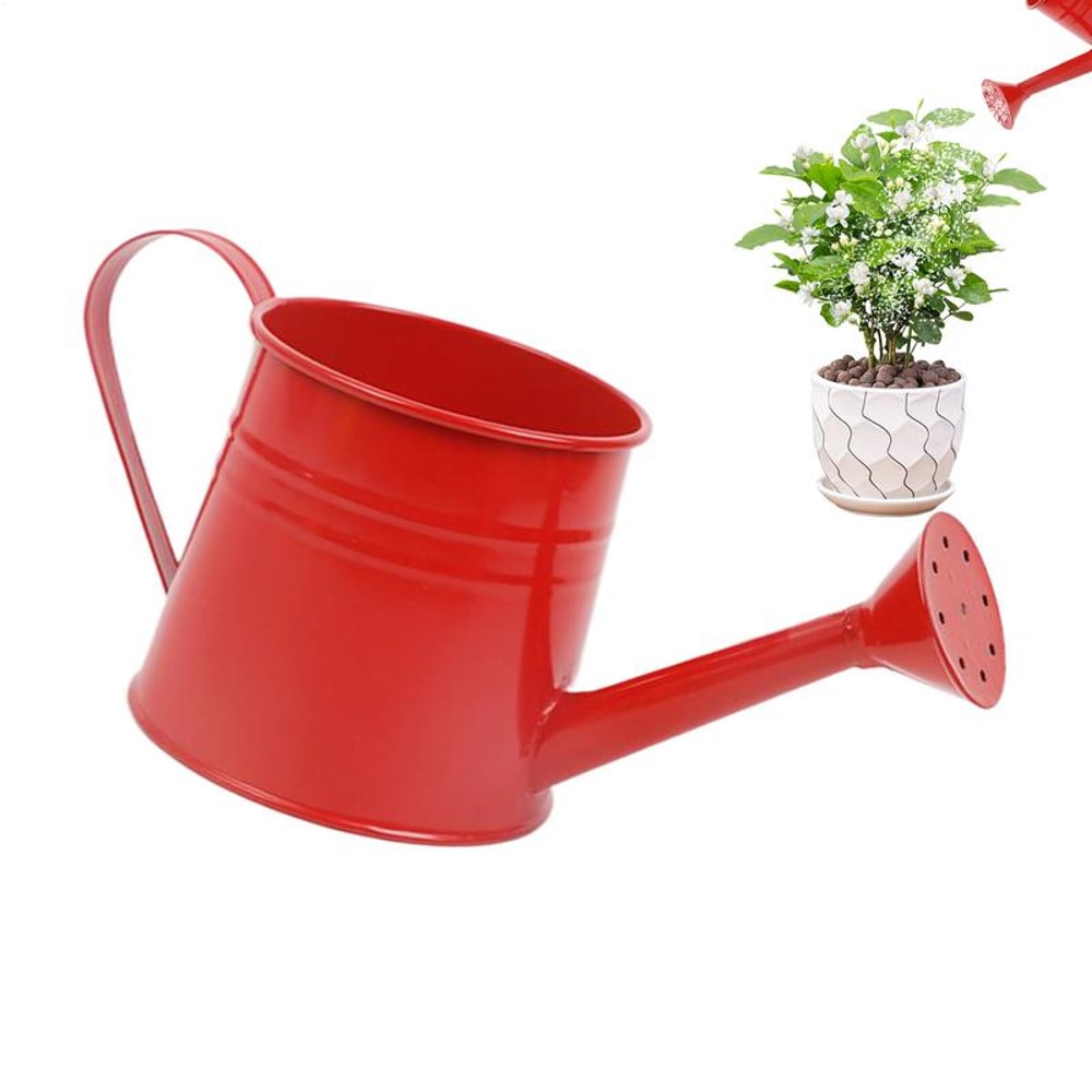 Modern Indoor Plant Watering Can With Long Spout Metal Design 2