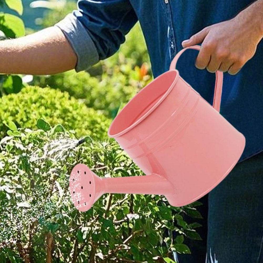 Modern Indoor Plant Watering Can With Long Spout Metal Design 4