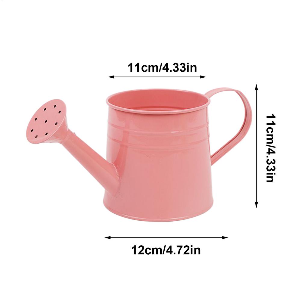 Modern Indoor Plant Watering Can With Long Spout Metal Design 5