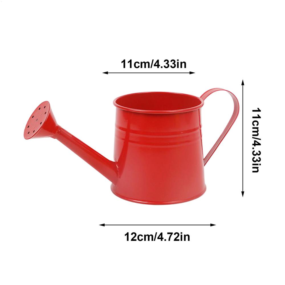 Modern Indoor Plant Watering Can With Long Spout Metal Design 6