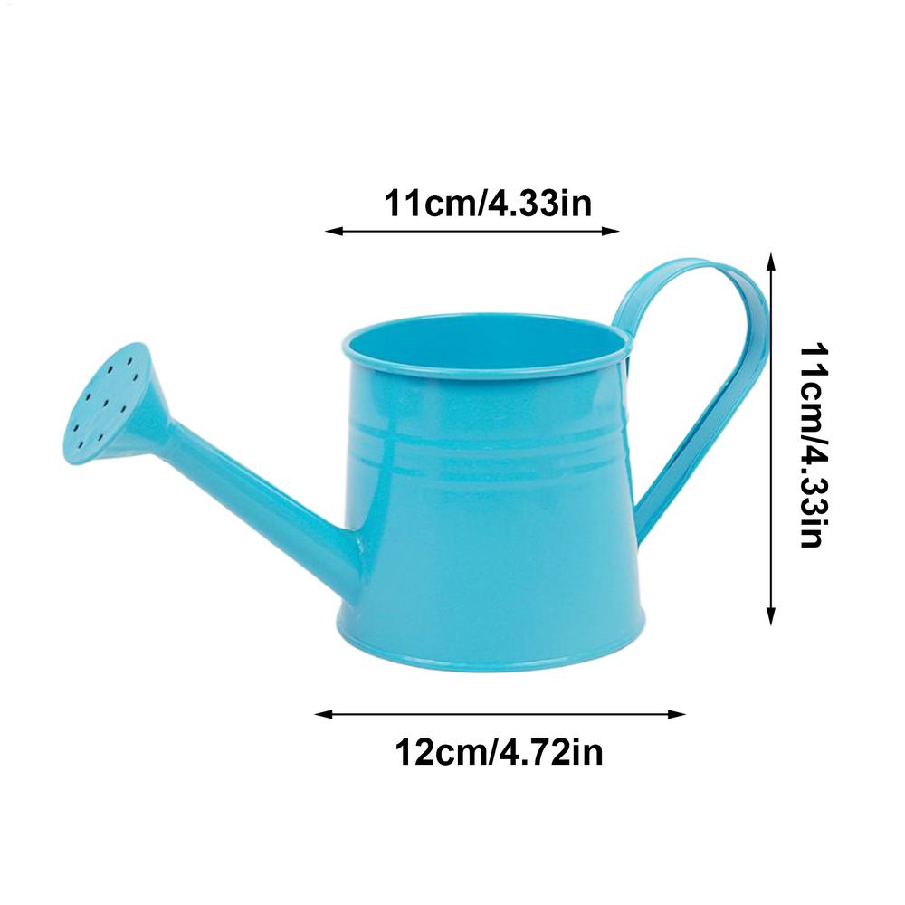Modern Indoor Plant Watering Can With Long Spout Metal Design 8