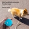 Retractable Dog Leash for Small Dogs and Puppies