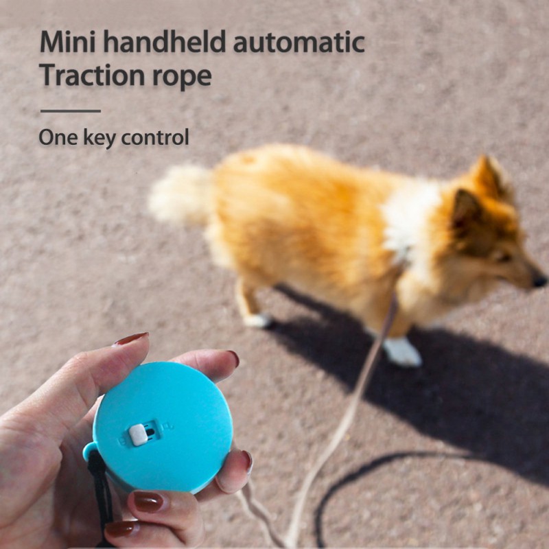 Retractable Dog Leash for Small Dogs and Puppies