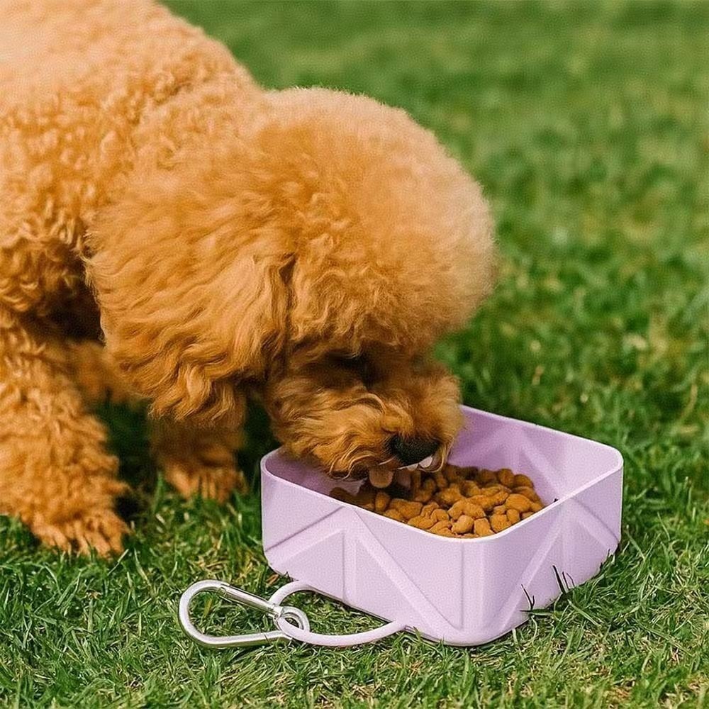 Collapsible Dog Bowl with Clip Portable Silicone Pet Travel Bowl for Food and Water