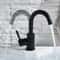 Modern Tall Vessel Sink Faucet In Black Or Silver Stainless Steel 4