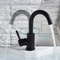 Modern Tall Vessel Sink Faucet In Black Or Silver Stainless Steel 4