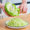 Stainless Steel Wide Mouth Vegetable Peeler And Cabbage Slicer 1
