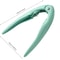 Chestnut Opener Tool Stainless Steel Nut Sheller and Walnut Pliers