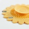 Floral Odor Proof Drain Cover and Sink Drain Filter Mat