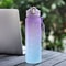 Rainbow Gradient Frosted Sports Water Bottle with Leakproof Straw Lid