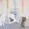 Interactive Cat Wand Toy with Spring Rope Plush Ball for Indoor Play