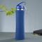 Insulated Stainless Steel Water Bottle With Straw For Fitness Cycling And Travel 8