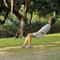 Portable Outdoor Hammock Swing For Camping Travel Backyard Relaxation 1