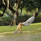 Portable Outdoor Hammock Swing For Camping Travel Backyard Relaxation 1