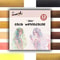 Premium Solid Watercolor Set For Artists Skin Ocean Candy Morandi Colors 6