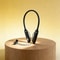 Premium Neckband Headphones with LED Display & TWS Earbuds for Gaming & Sports