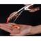 Stainless Steel Shrimp Peeler and Deveiner Tool for Prawns Lobster and Seafood Prep