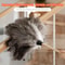 Ostrich Feather Duster With Wooden Handle Anti Static Reusable Cleaning Tool 3