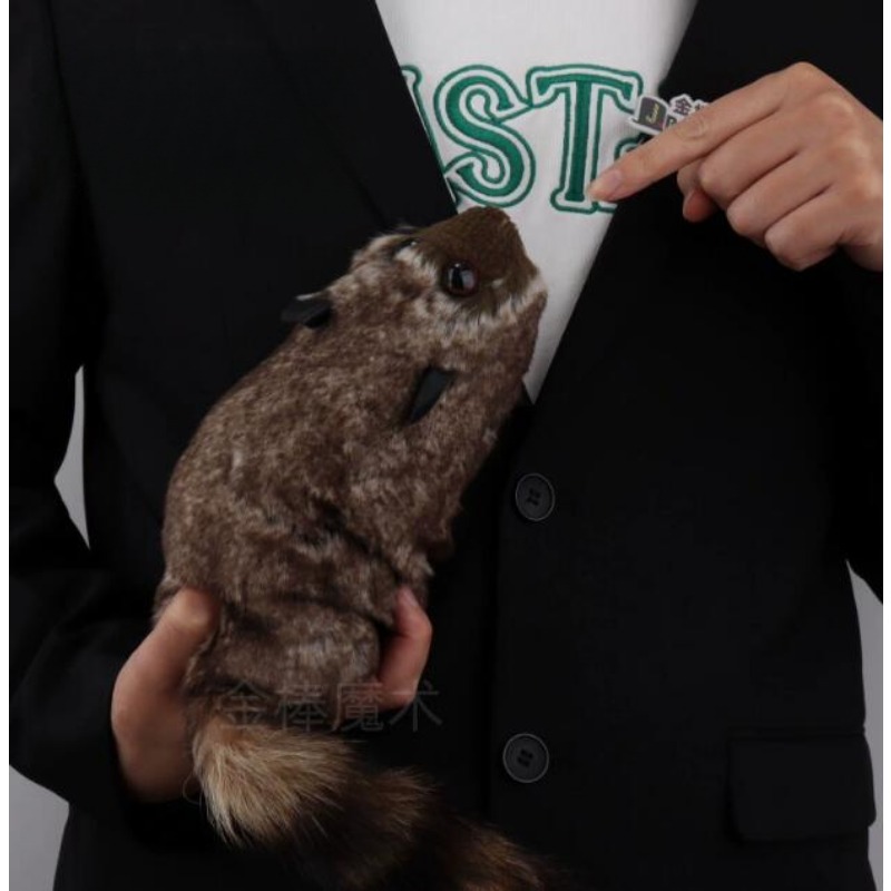 Rocky Raccoon Magic Trick Toy Comedy Stage Gimmick 1