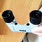 High Definition Night Vision Binoculars with Autofocus & High Magnification