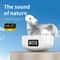 Wireless Bluetooth Noise Cancelling Earbuds with Digital Display