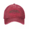 Lehman Brothers Finance Meme Hat Distressed Retro Wall Street Humor Trucker Cap 4