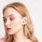 SoundPure TWS Wireless Earbuds with Noise Cancelling Mic