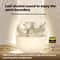 WS Wireless Bluetooth Earbuds With HiFi Sound And Noise Reduction Mic 0