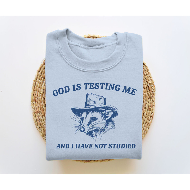 God Is Testing Me And I Have Not Studied, Funny Sweatshirt, Possum Sweatshirt, Vintage Cartoon Sweater, Unisex.jpg