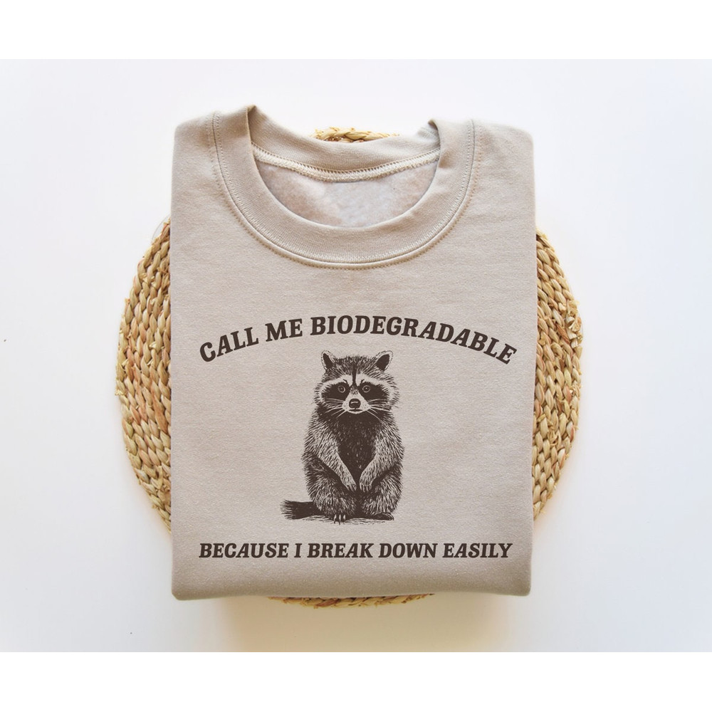 I Break Down Easily, Funny Sweatshirt, Funny Crewneck, Raccoon Meme Sweatshirt, Cartoon Meme Top, Vintage Cartoon Sweater, Unisex.jpg