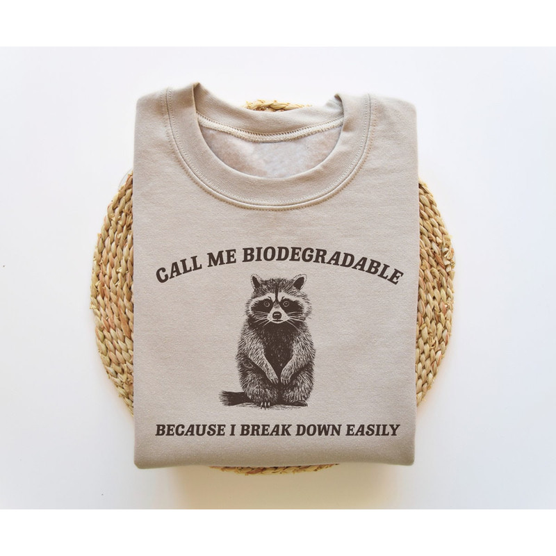 I Break Down Easily, Funny Sweatshirt, Funny Crewneck, Raccoon Meme Sweatshirt, Cartoon Meme Top, Vintage Cartoon Sweater, Unisex.jpg