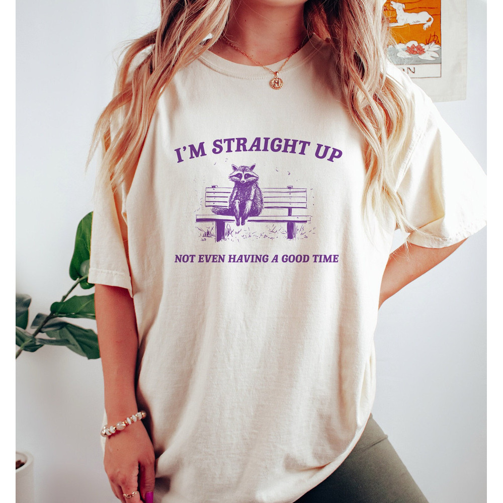 This Is Not A Good Time - Raccoon Drawing T Shirt, Raccoon Meme T Shirt, Sarcastic T Shirt, Unisex.jpg